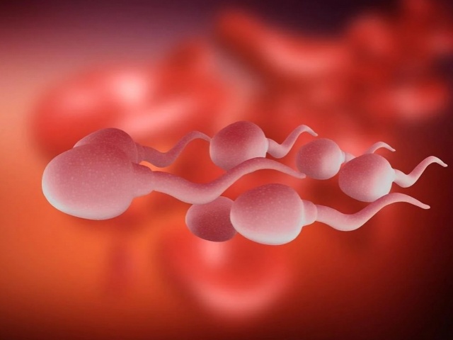 5 manieren om je spermaproductie te verhogen